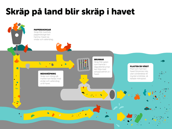 Infografik skräpets väg till havet