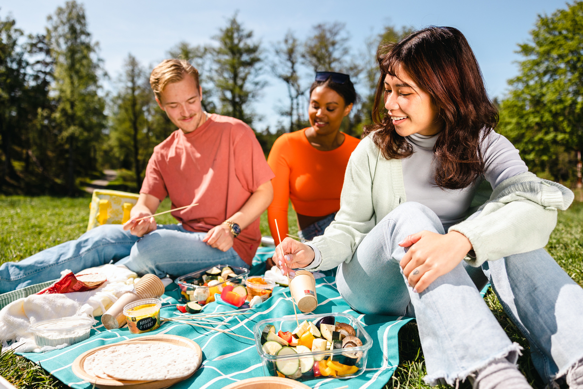 Picknick i naturen